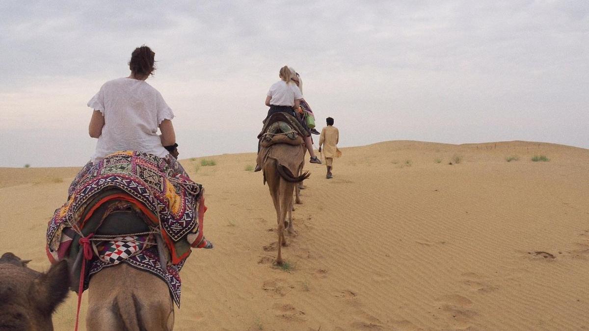 Hotel Sallu Safari Jaisalmer Bagian luar foto